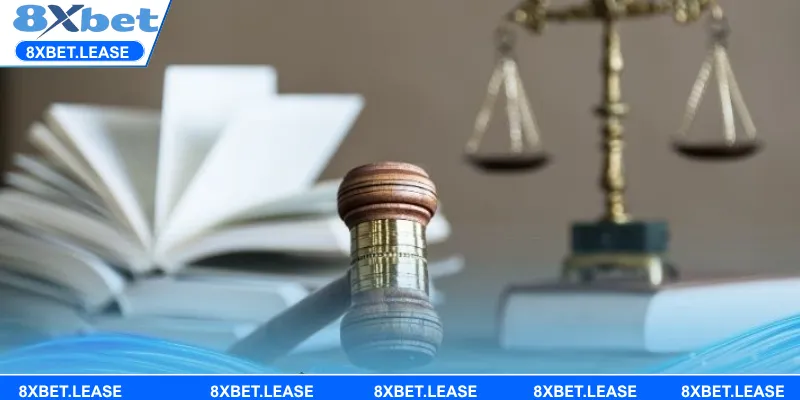 Hội viên cần nắm một vài lưu ý khi tham khảo quy định tại 8XBET