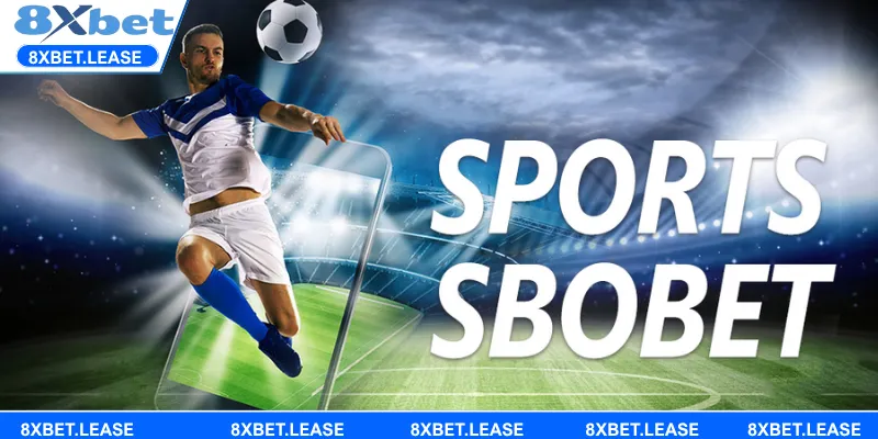 Kho thể thao đỉnh cao - Hành trình từ sân cỏ đến võ đài